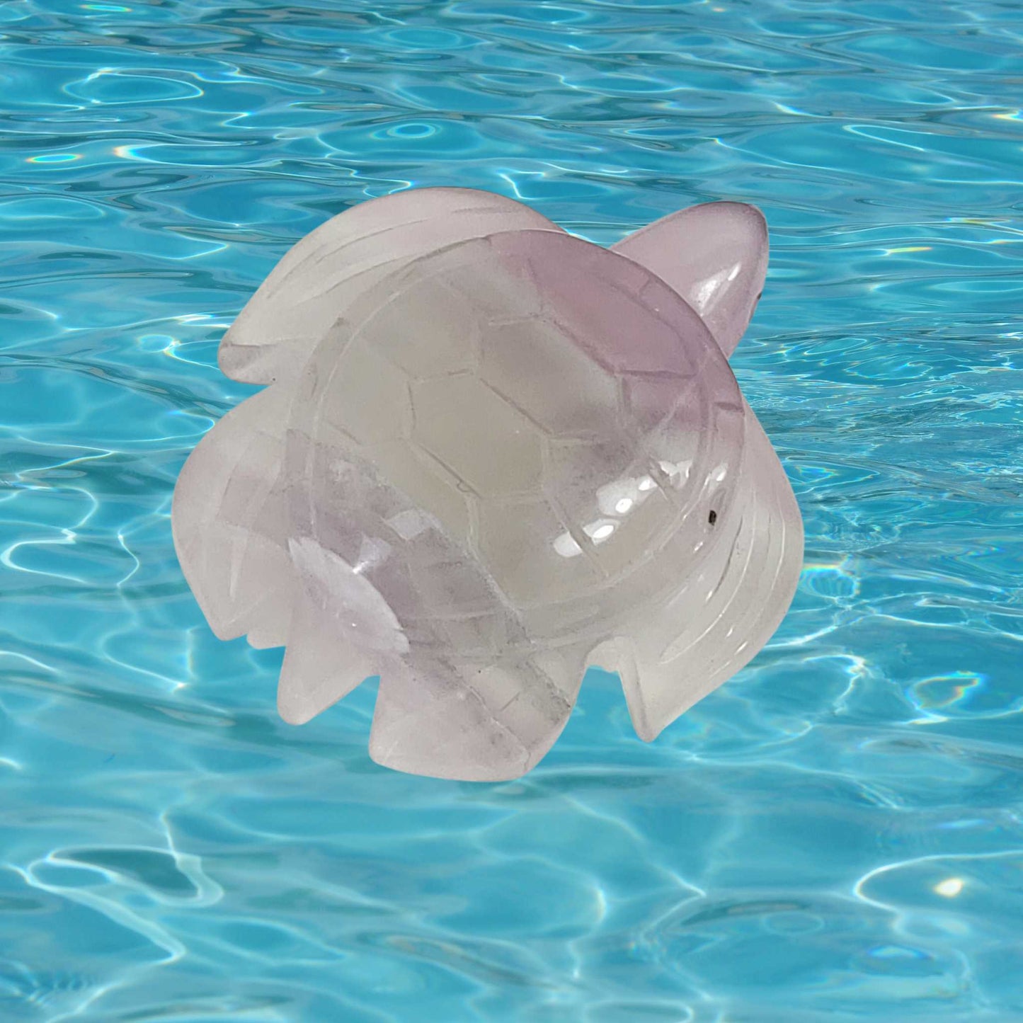 Lavender Fluorite Sea Turtle VIDEO LISTING 02