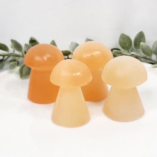 Orange Selenite Mushrooms