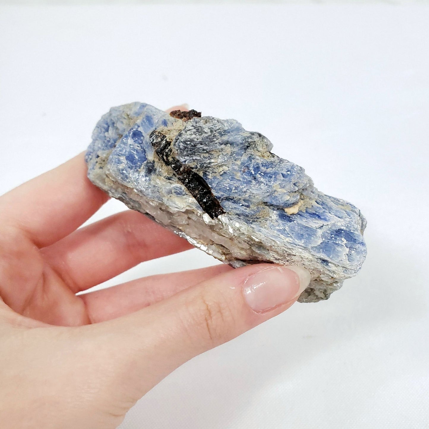 Small Raw Blue Kyanite with Garnet