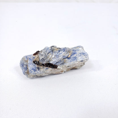 Small Raw Blue Kyanite with Garnet