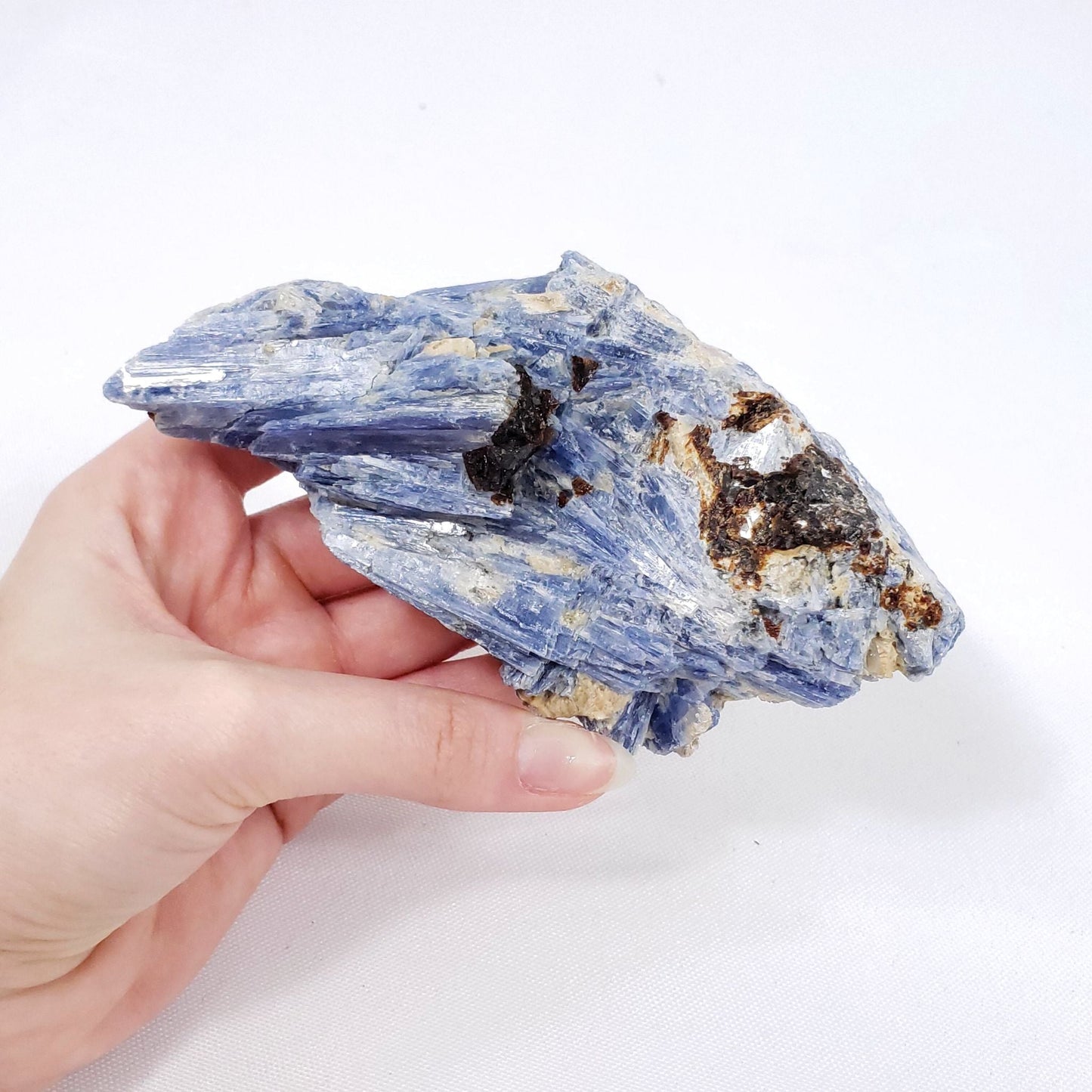 Large Raw Blue Kyanite with Garnet