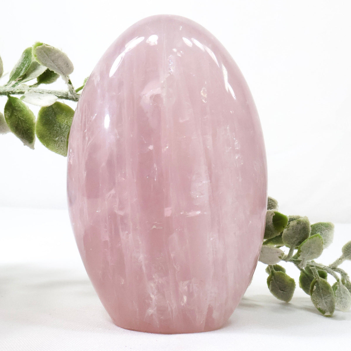 Large Rose Quartz Freeform | Crystal for Love, Calm & Self-Love
