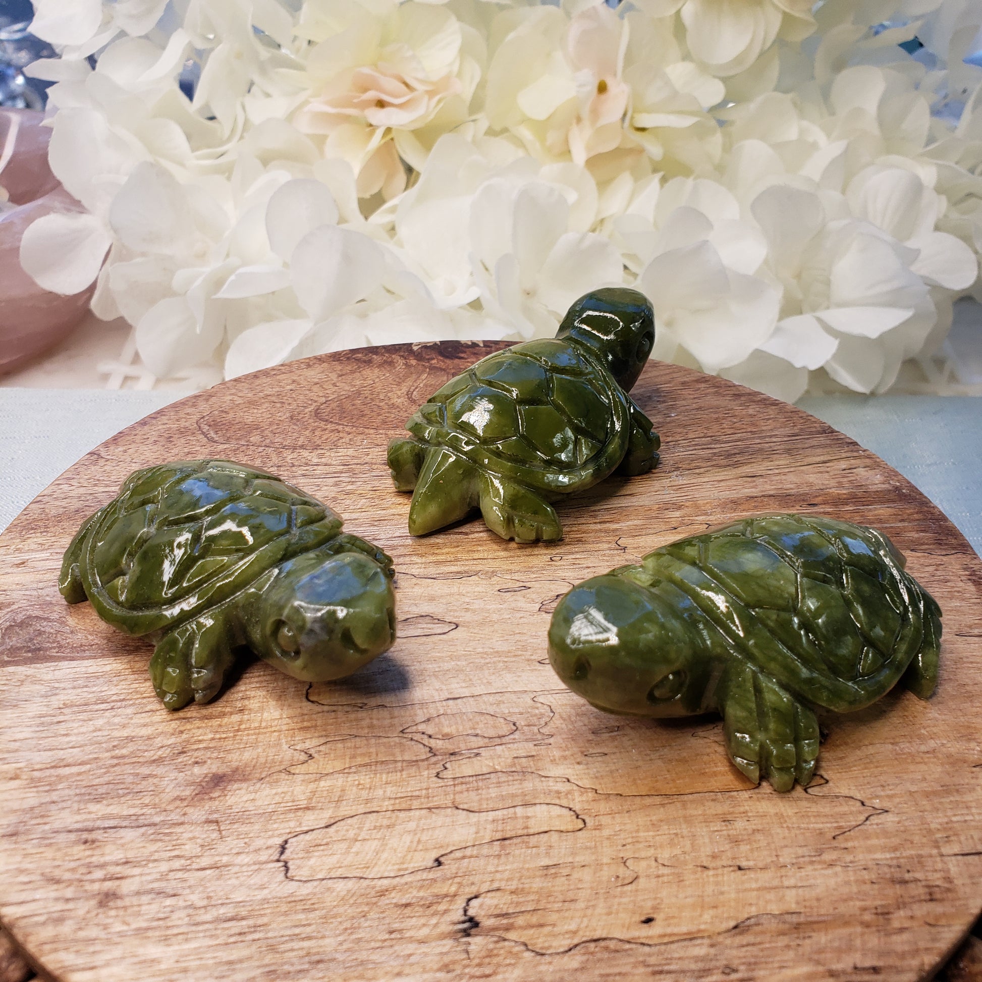 Serpentine Turtle - Crystal Happenings