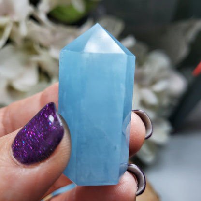 Aquamarine Mini Point - High Quality - Crystal Happenings