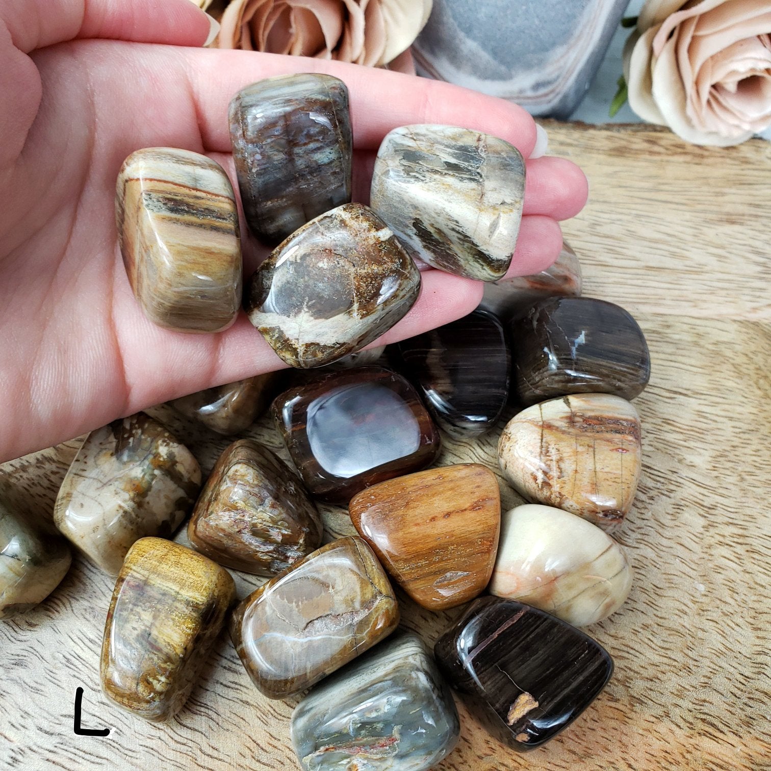 Petrified Wood Tumbled Stone - Crystal Happenings