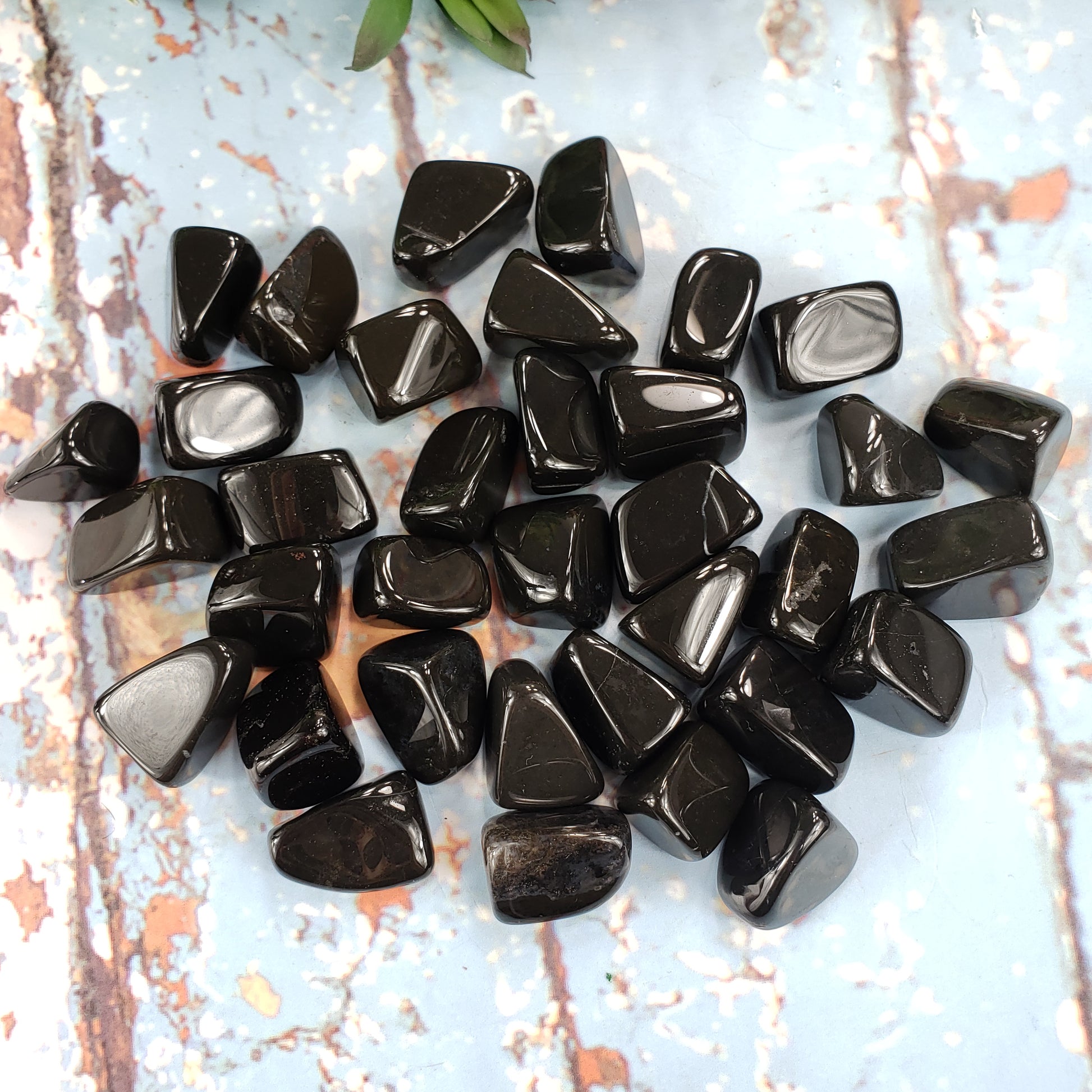 Black Onyx Tumbled Stone - Crystal Happenings