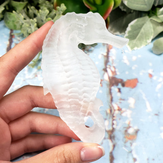 Selenite Seahorse - Crystal Happenings