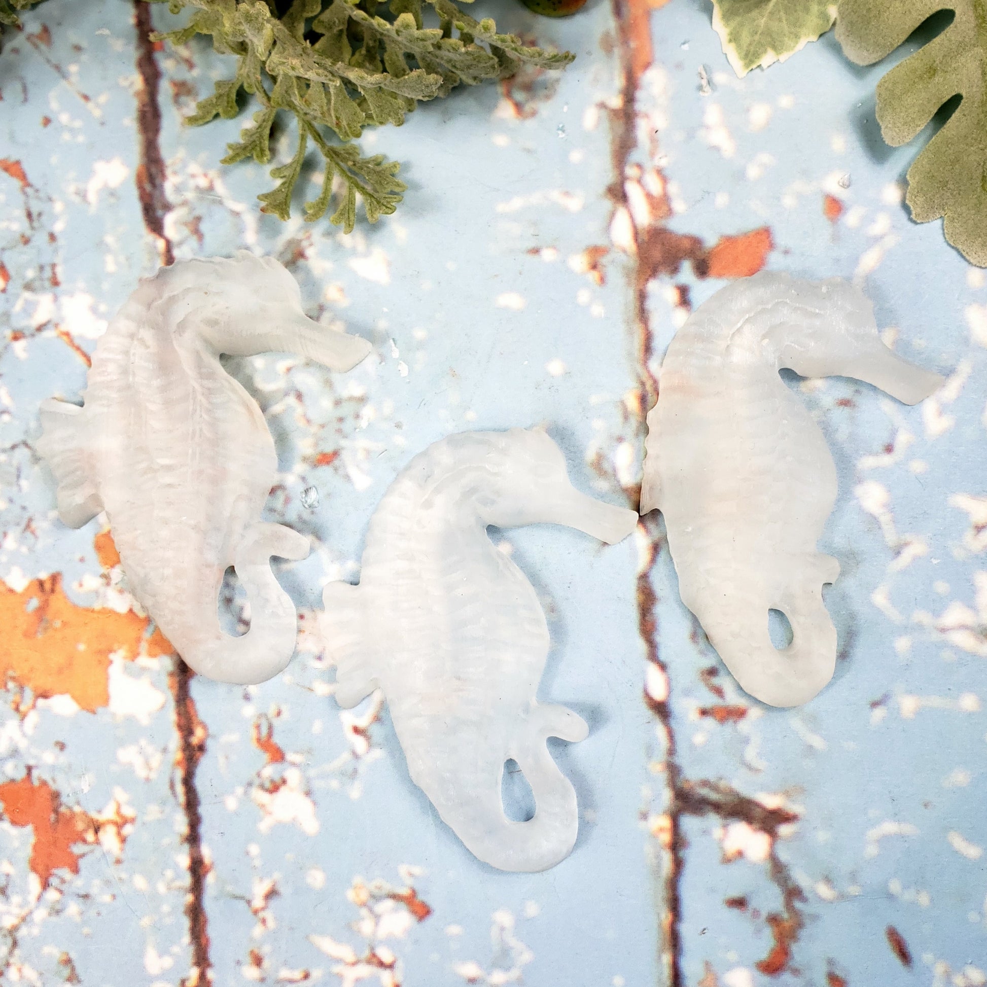 Selenite Seahorse - Crystal Happenings