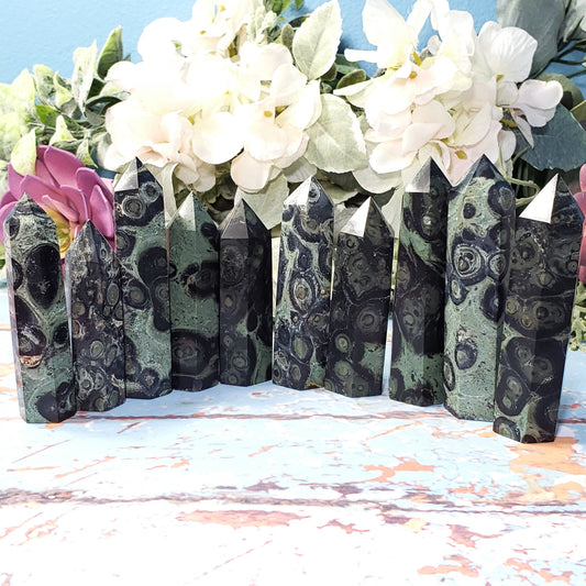 Kambaba Jasper Point - Crystal Happenings