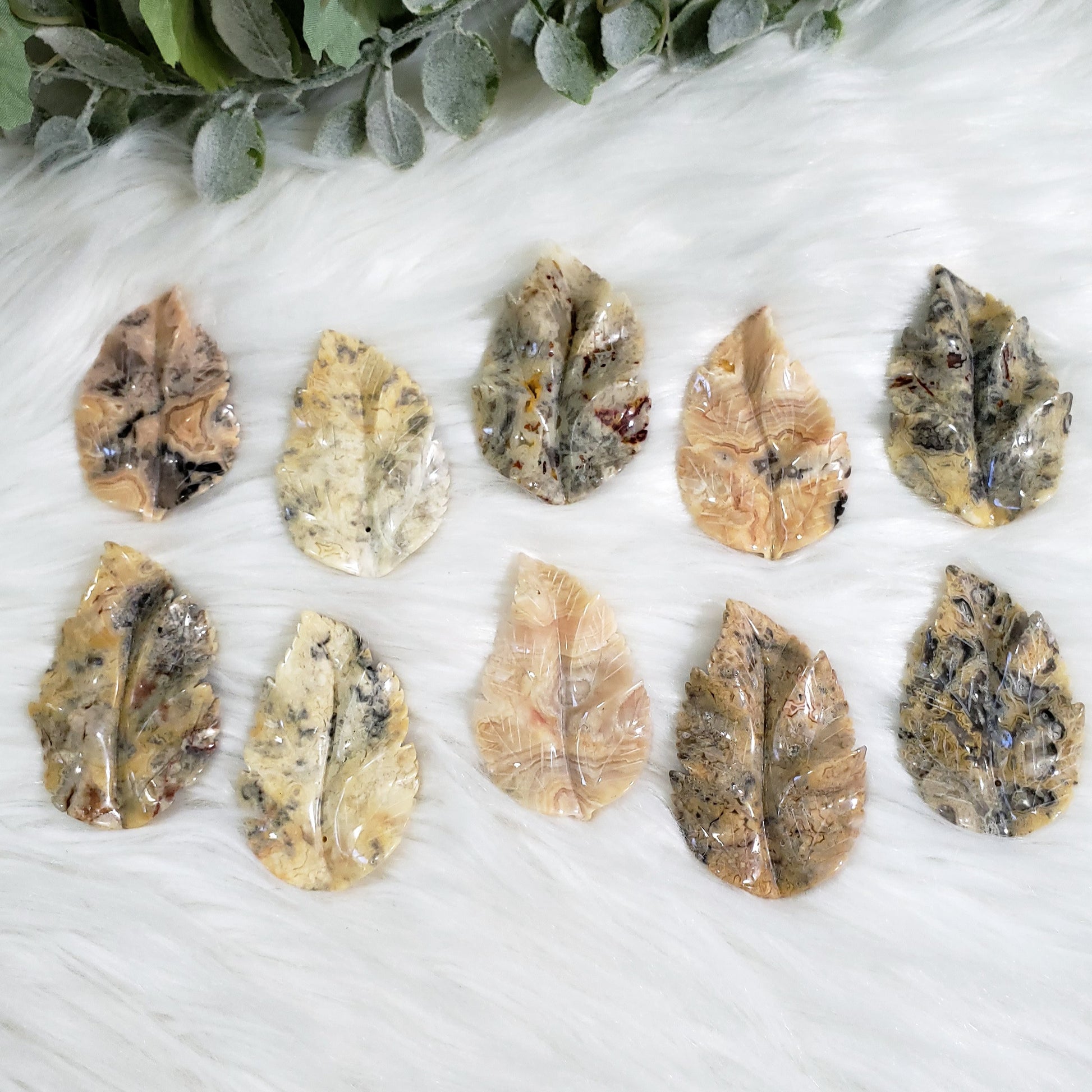 Crazy Lace Agate Leaf - Crystal Happenings