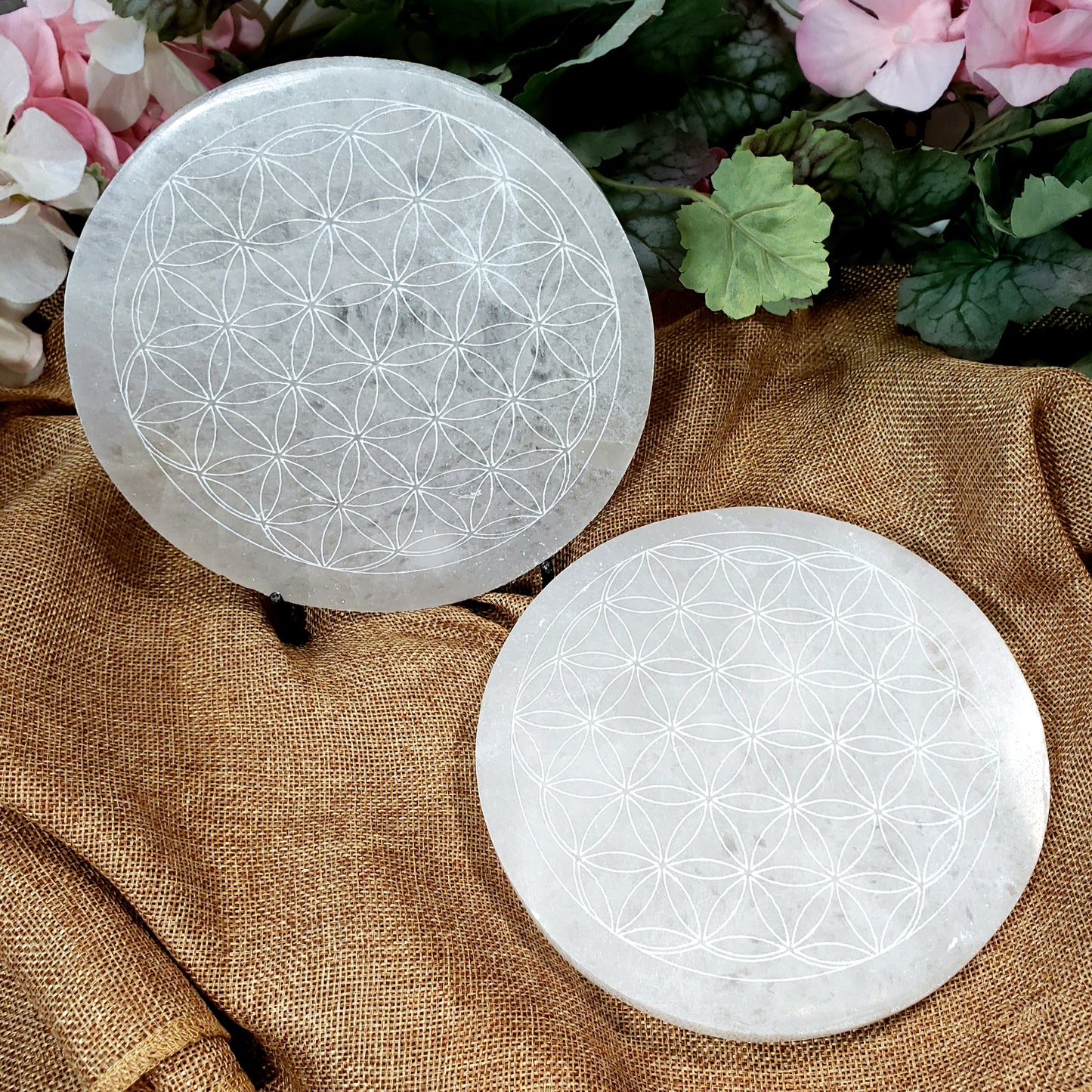 Selenite Flower of Life Charging Plate - Crystal Happenings