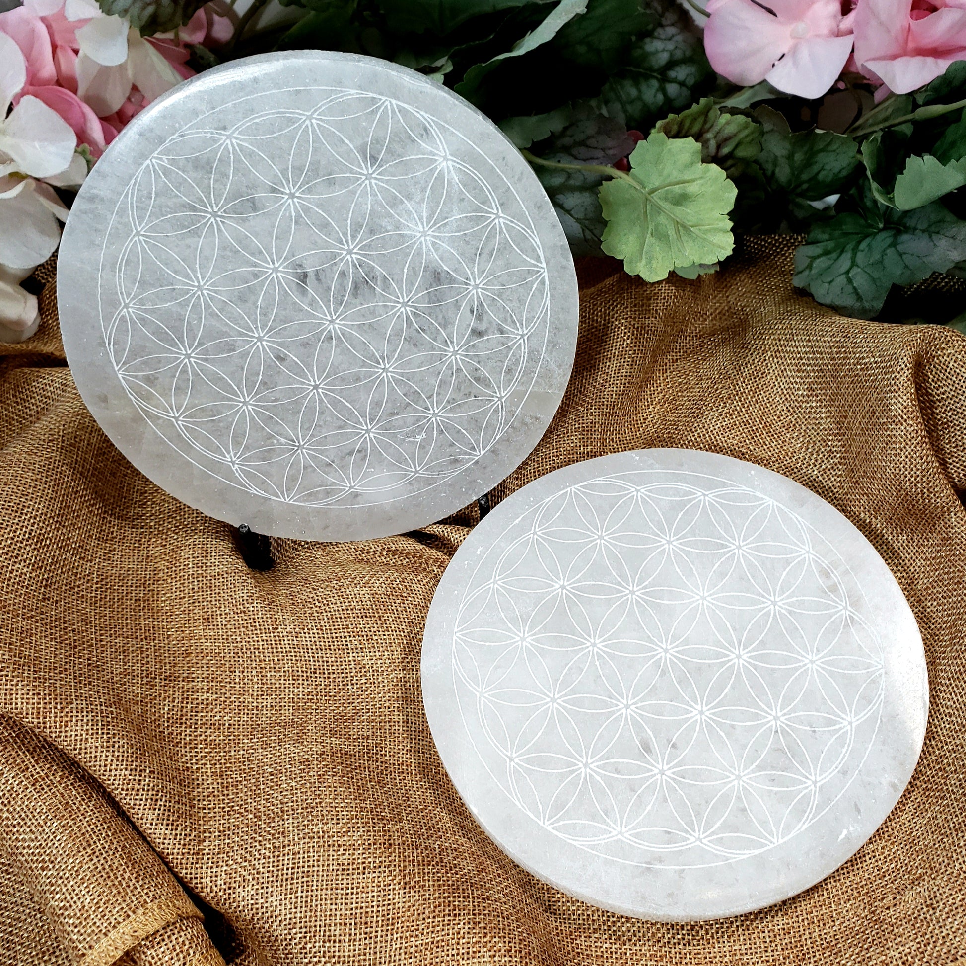 Selenite Flower of Life Charging Plate - Crystal Happenings