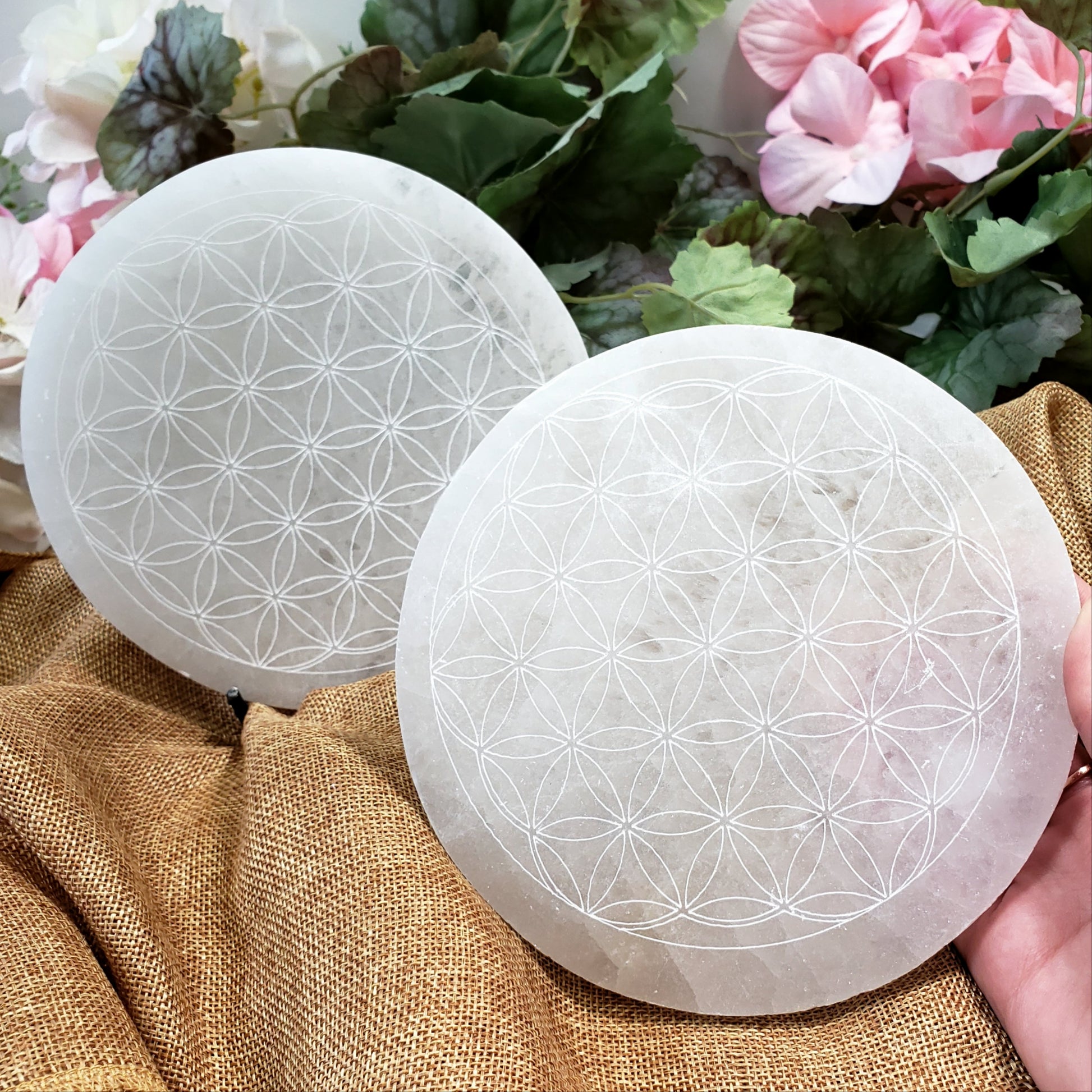 Selenite Flower of Life Charging Plate - Crystal Happenings