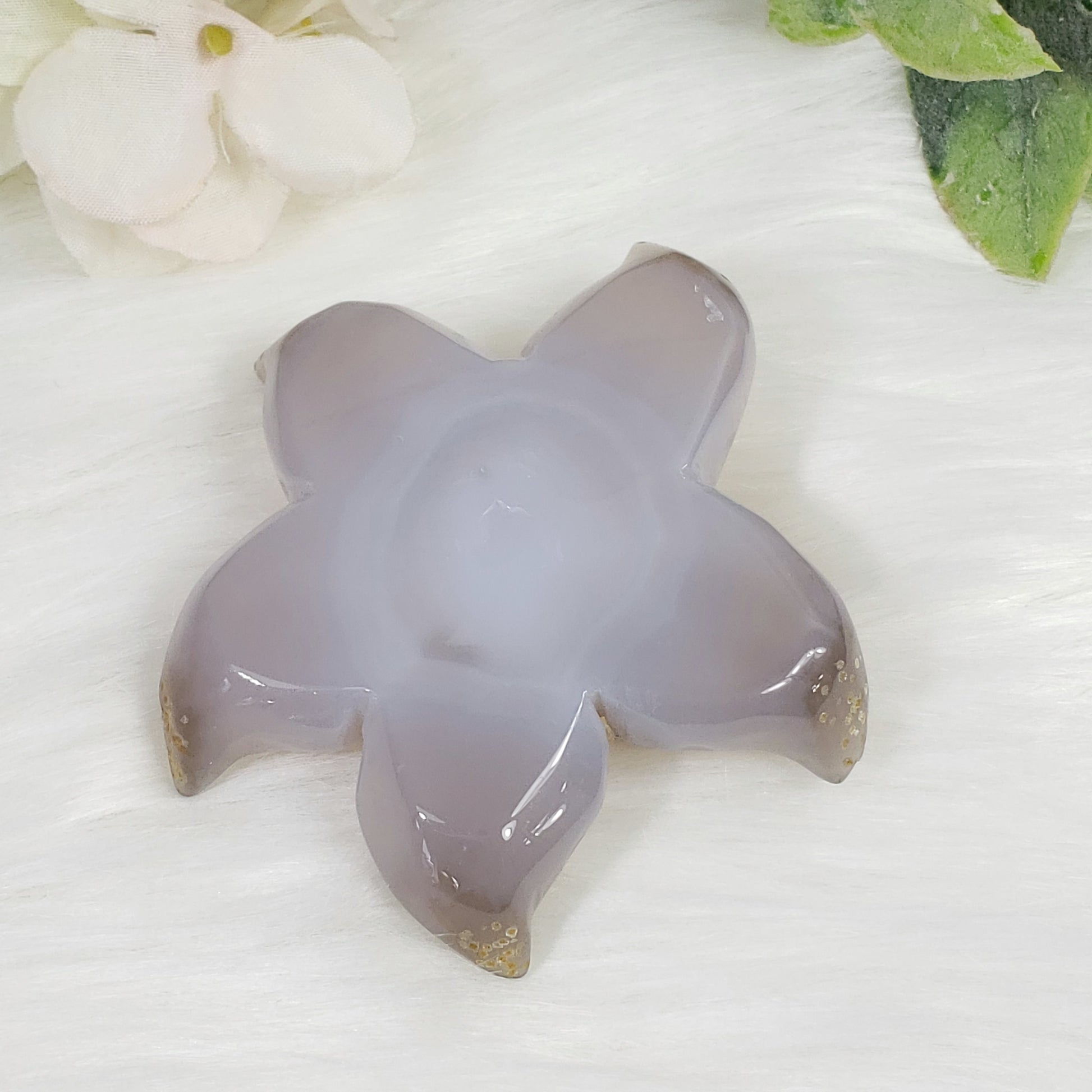 Druzy Agate Starfish 2 - Crystal Happenings