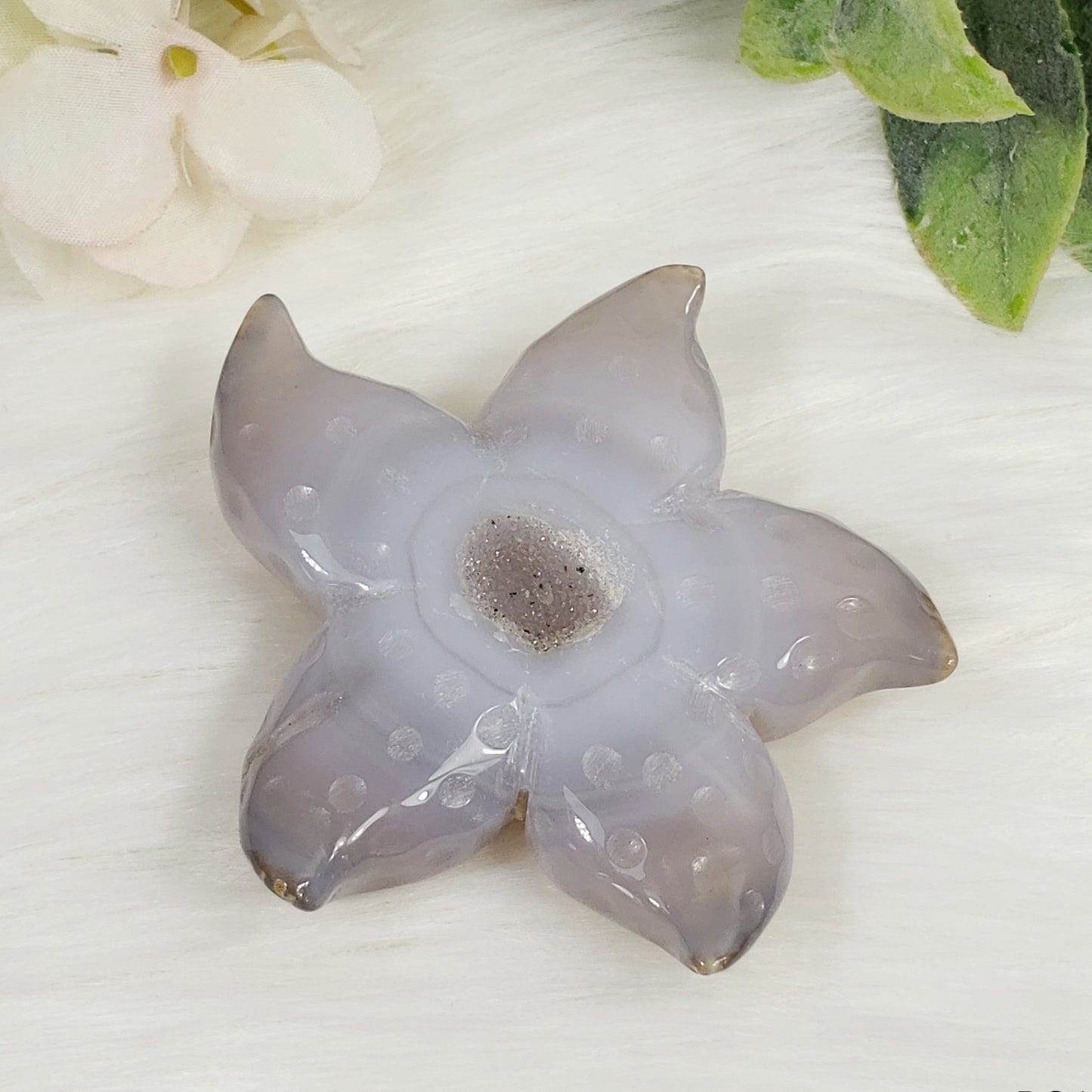 Druzy Agate Starfish 2 - Crystal Happenings