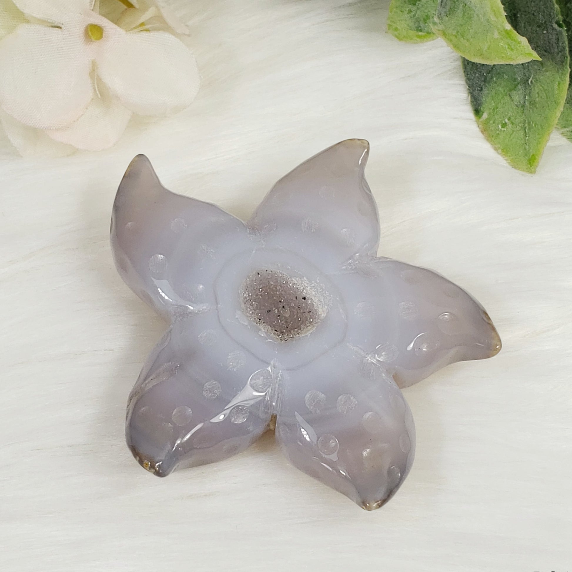 Druzy Agate Starfish 2 - Crystal Happenings