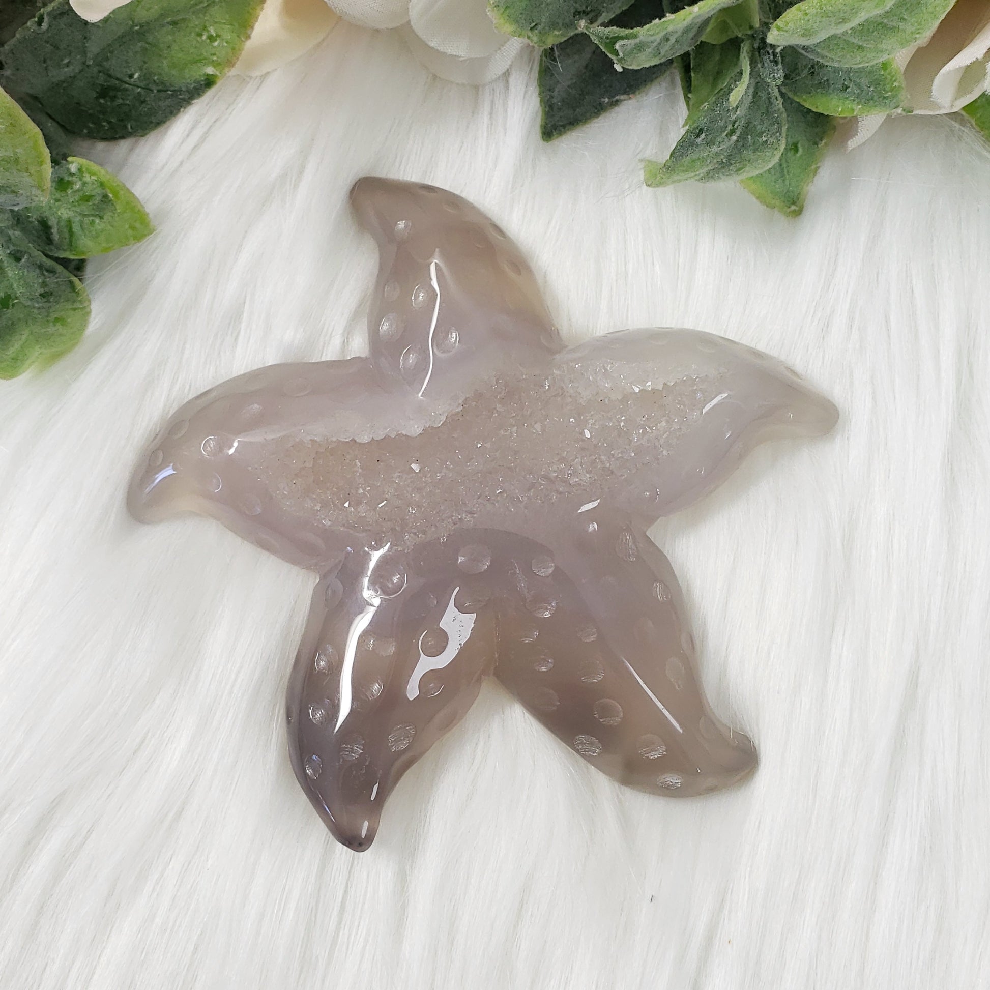 Druzy Agate Starfish 4 - Crystal Happenings