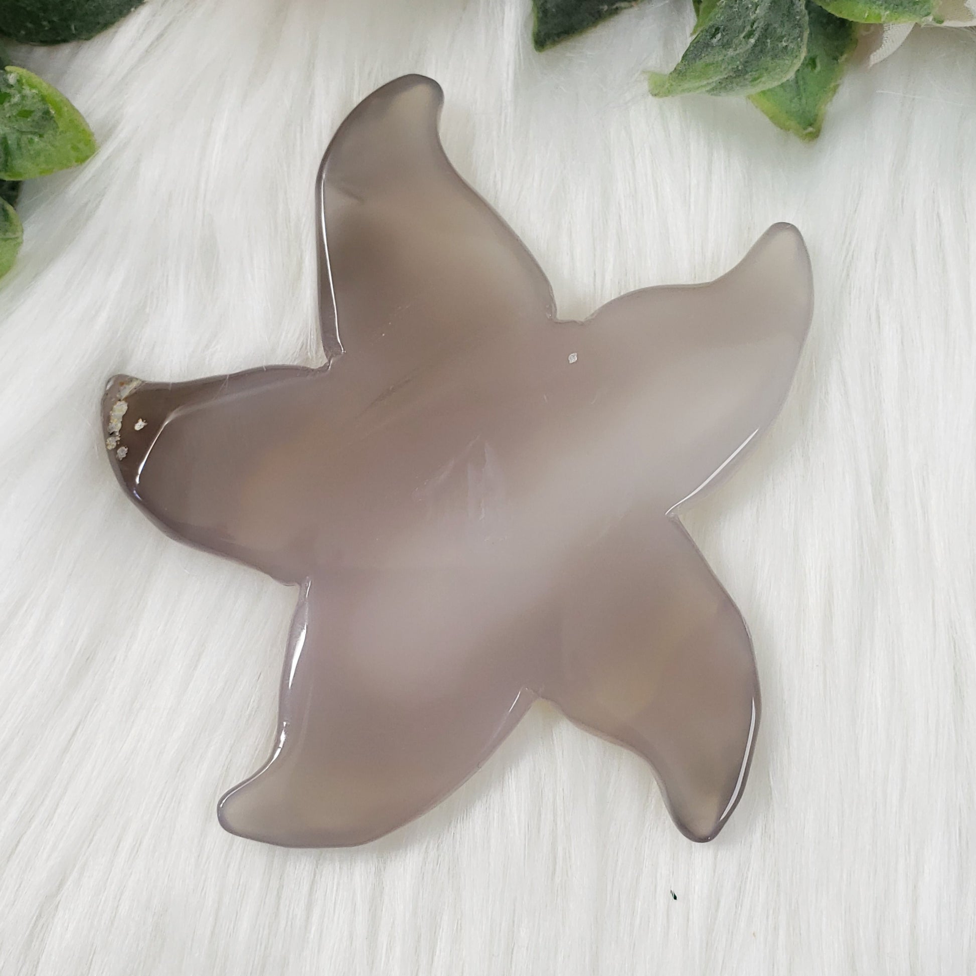 Druzy Agate Starfish 4 - Crystal Happenings