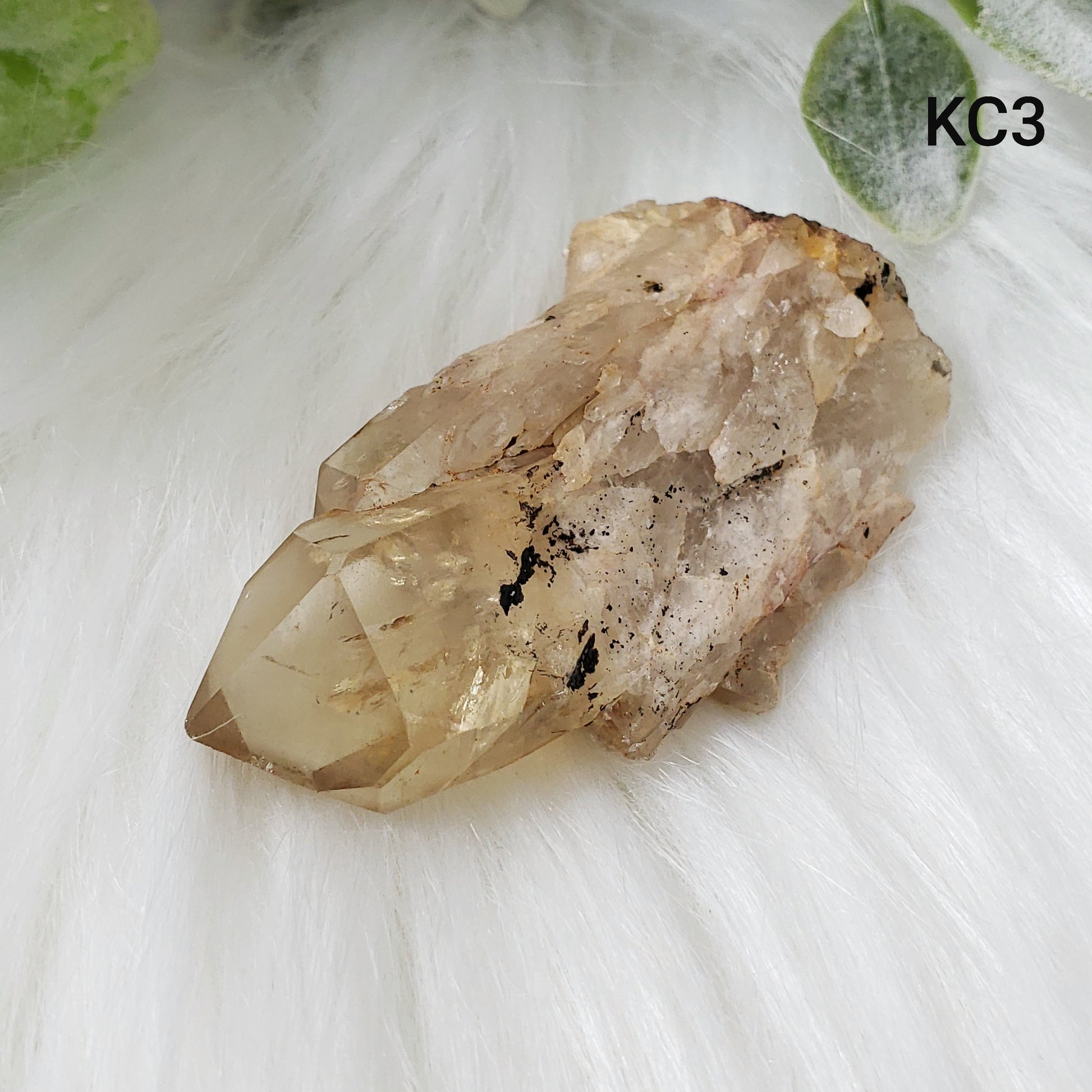 Congo Citrine Flower #03 - Crystal Happenings