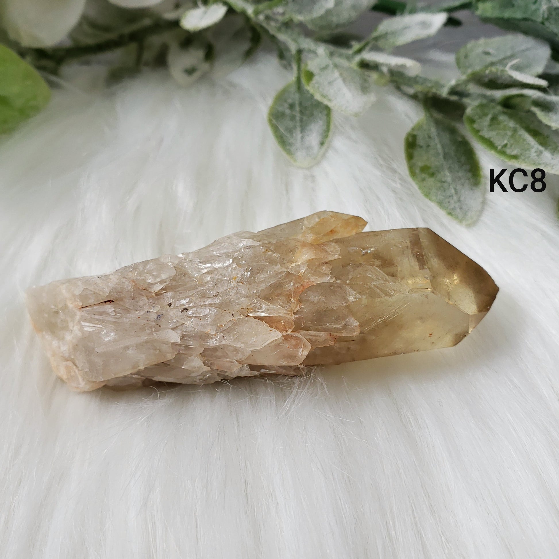Congo Citrine Flower #08 - Crystal Happenings