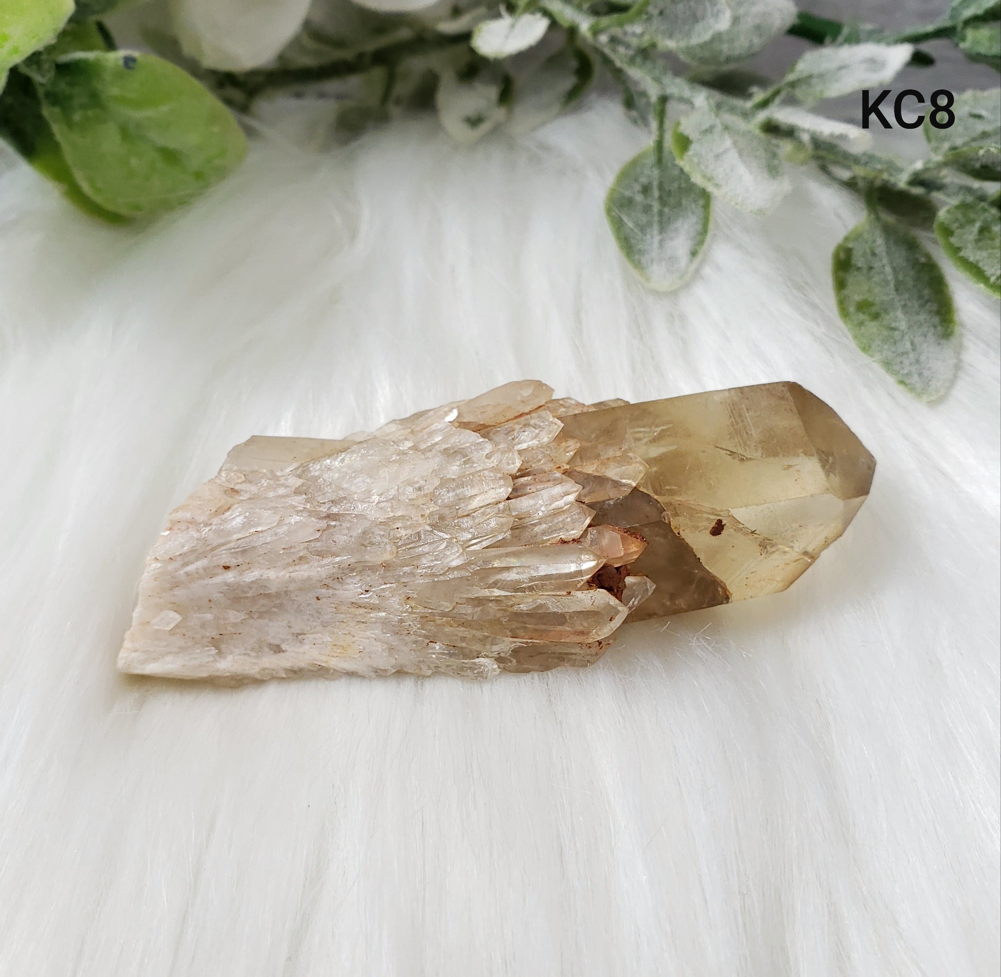 Congo Citrine Flower #08 - Crystal Happenings