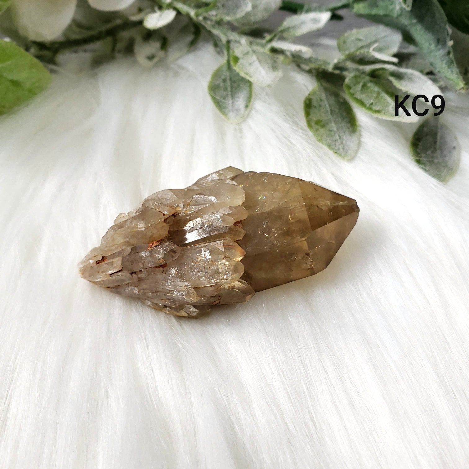 Congo Citrine Flower #09 - Crystal Happenings