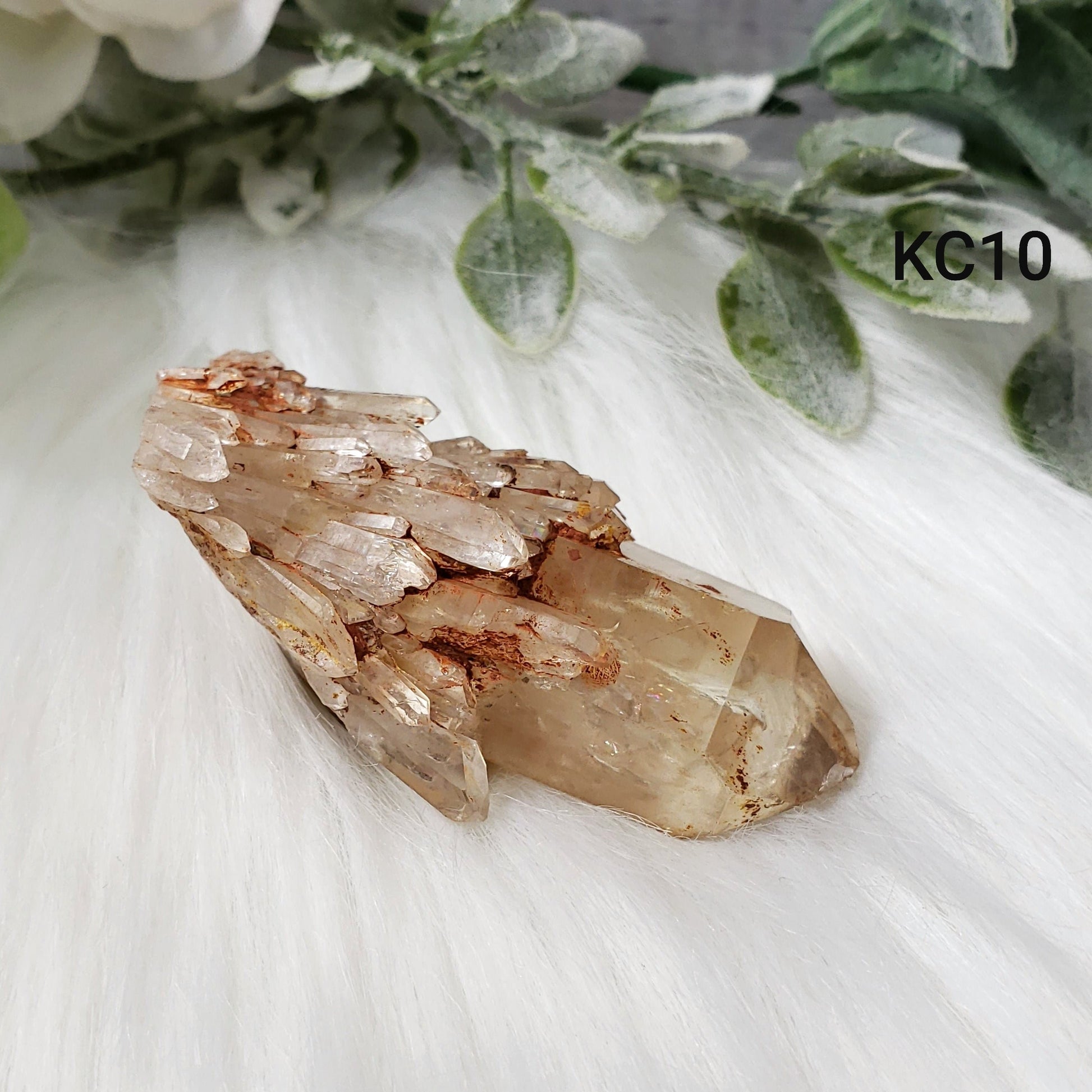 Congo Citrine Flower #10 - Crystal Happenings