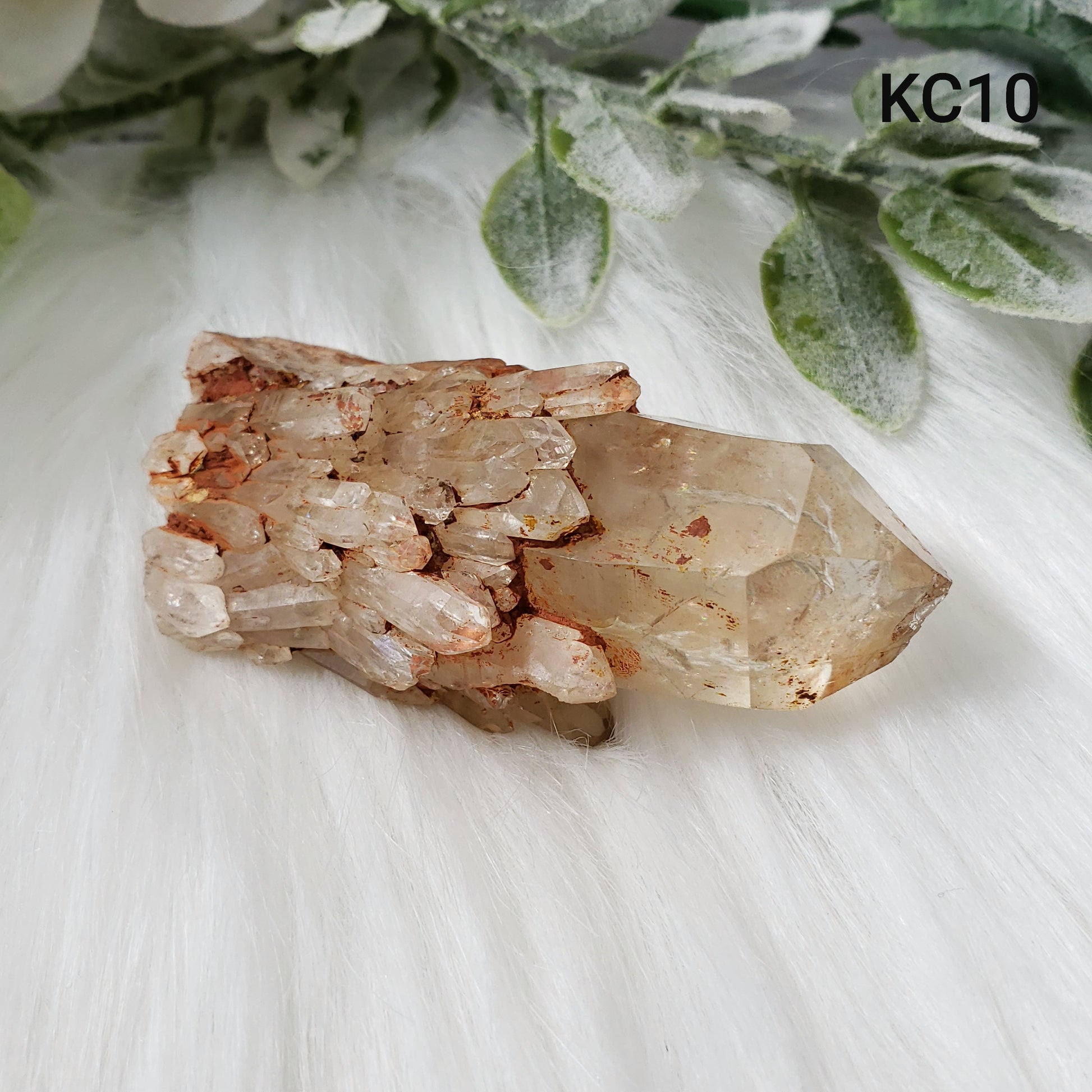 Congo Citrine Flower #10 - Crystal Happenings