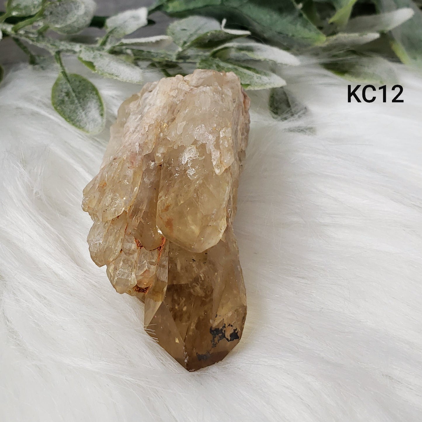 Congo Citrine Flower #12 - Crystal Happenings