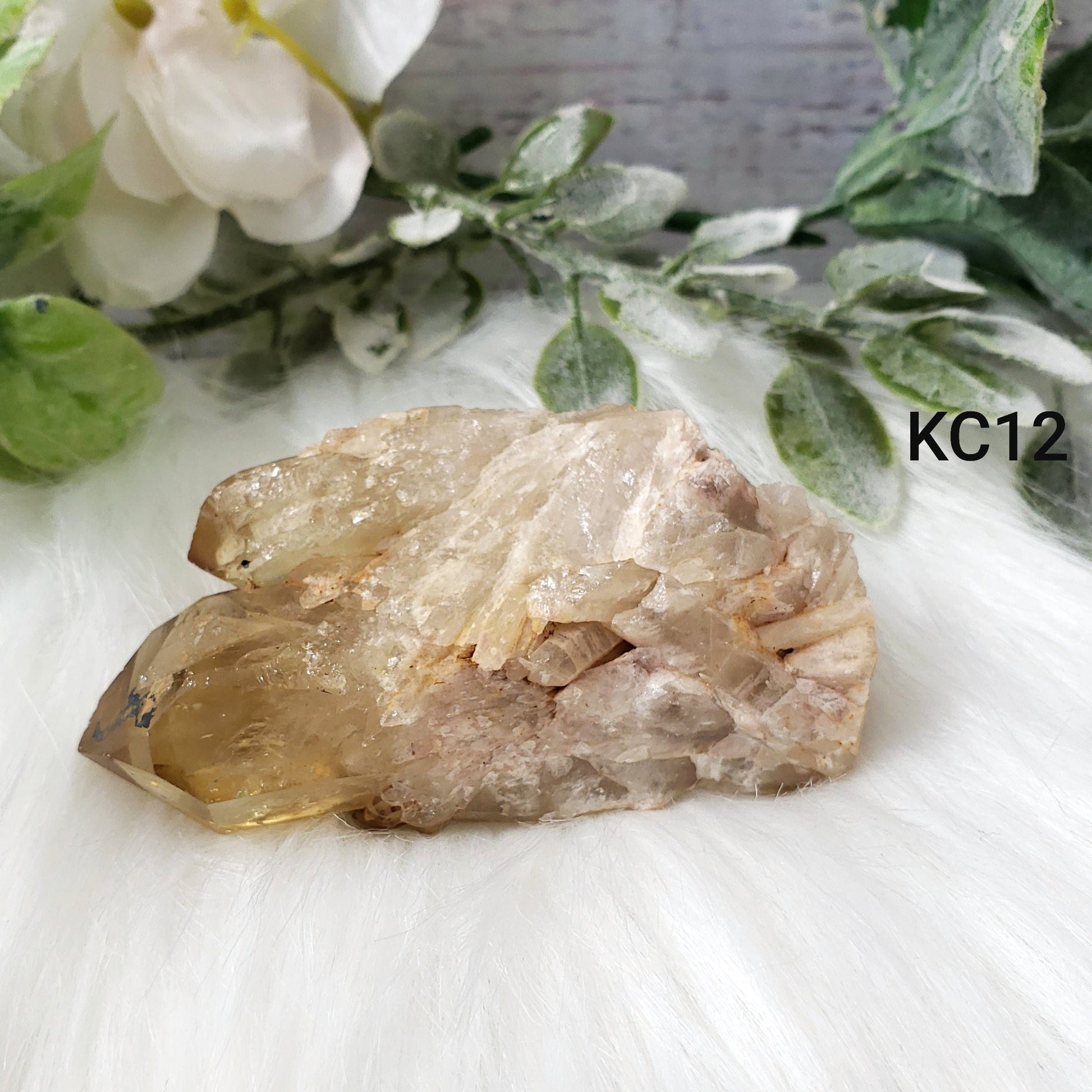Congo Citrine Flower #12 - Crystal Happenings