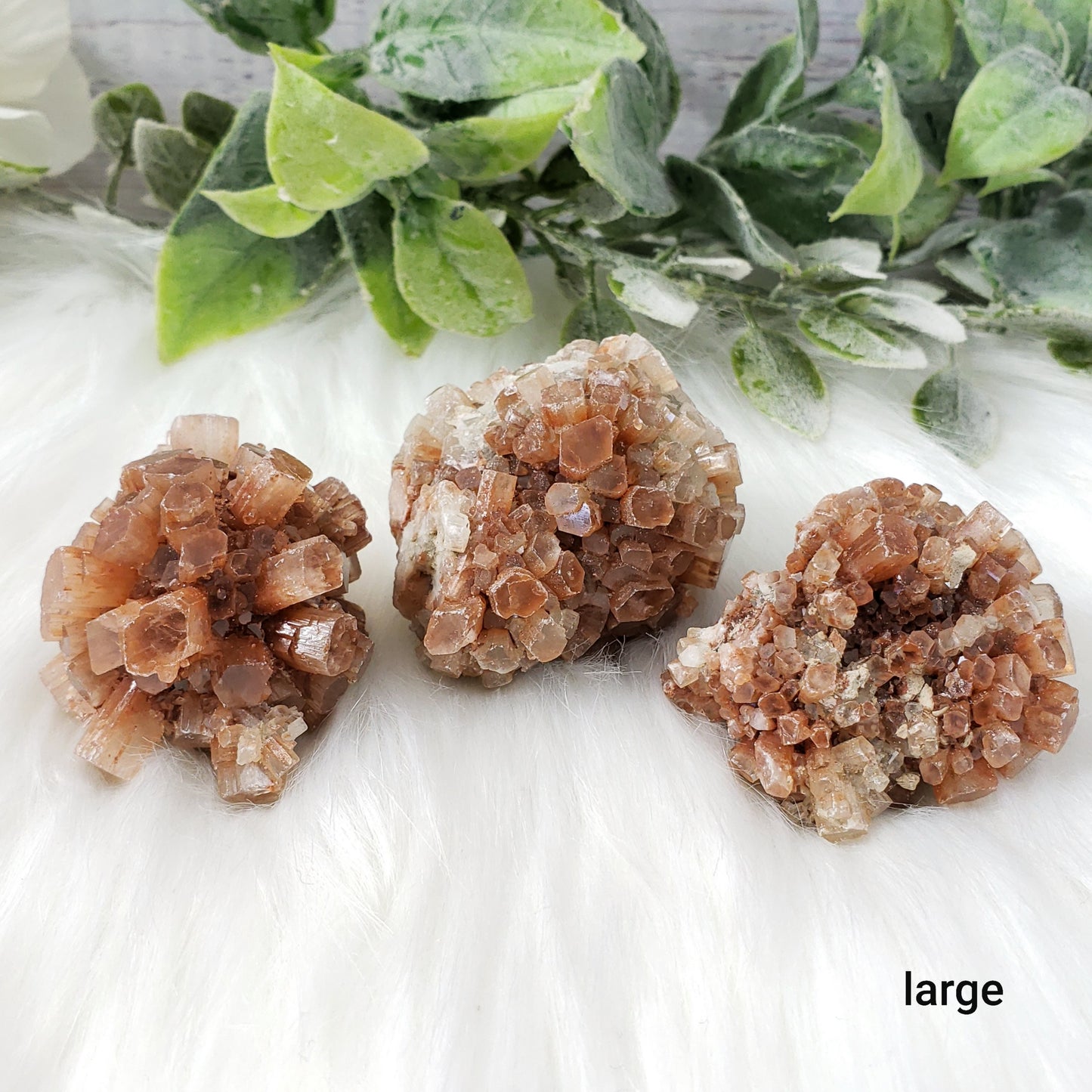 Aragonite Natural Clusters, Choose one - Crystal Happenings