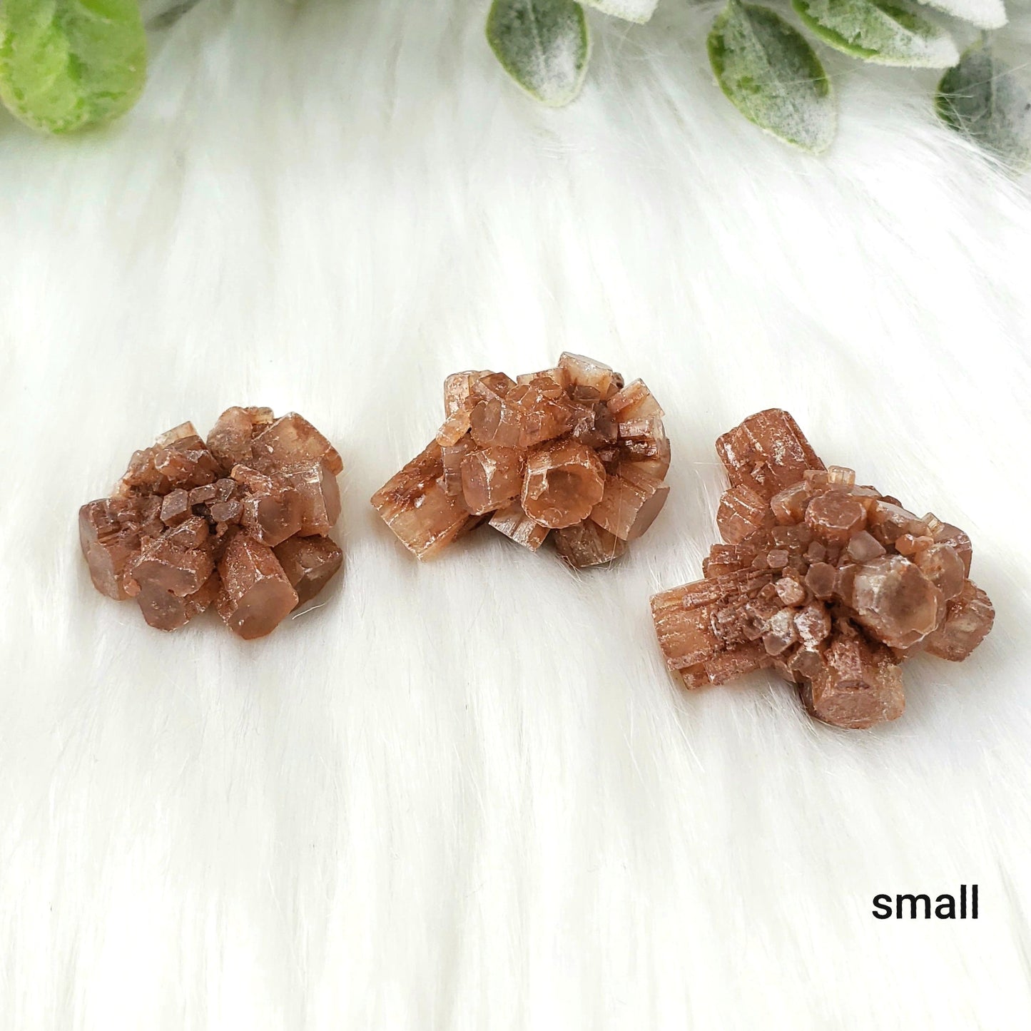 Aragonite Natural Clusters, Choose one - Crystal Happenings