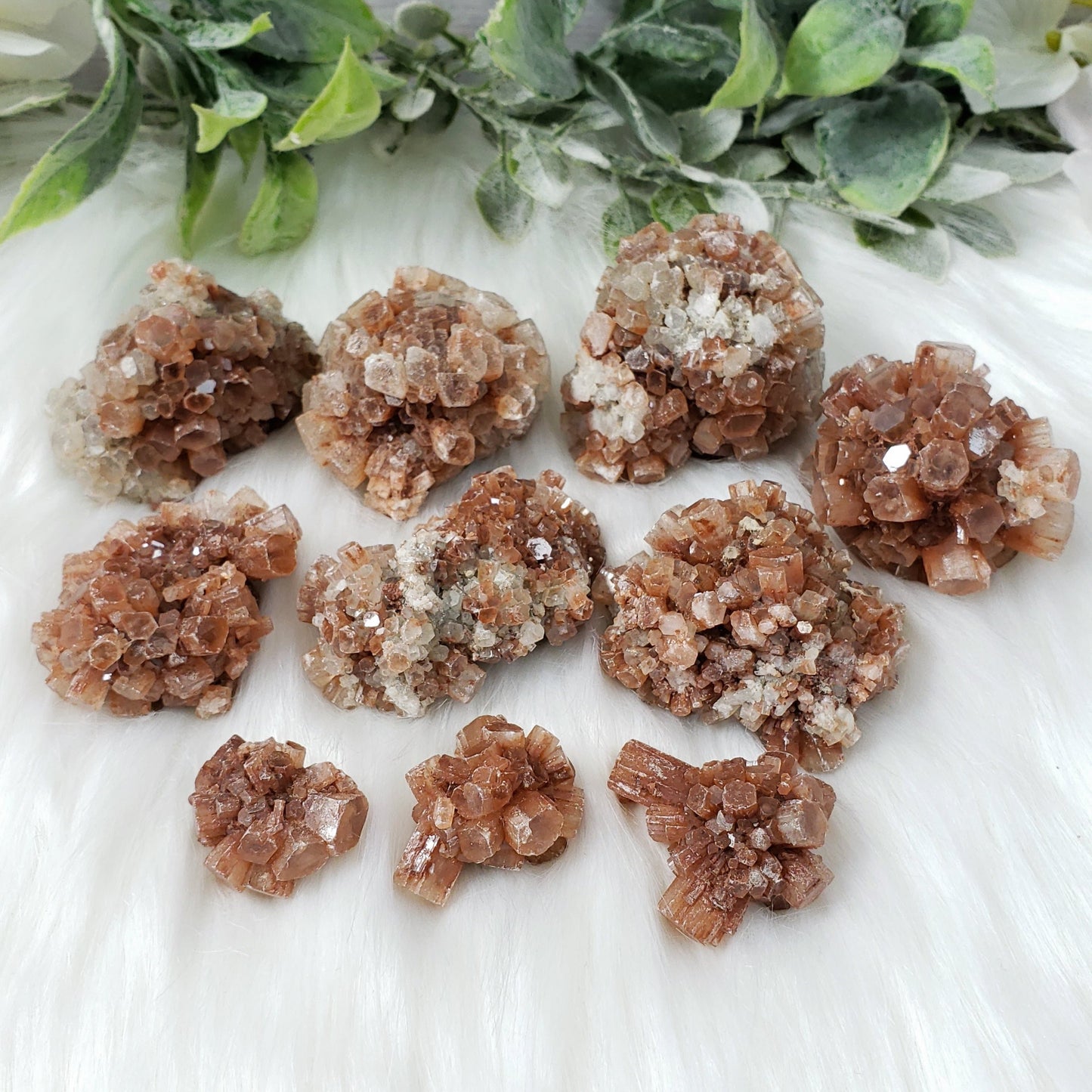 Aragonite Natural Clusters, Choose one - Crystal Happenings