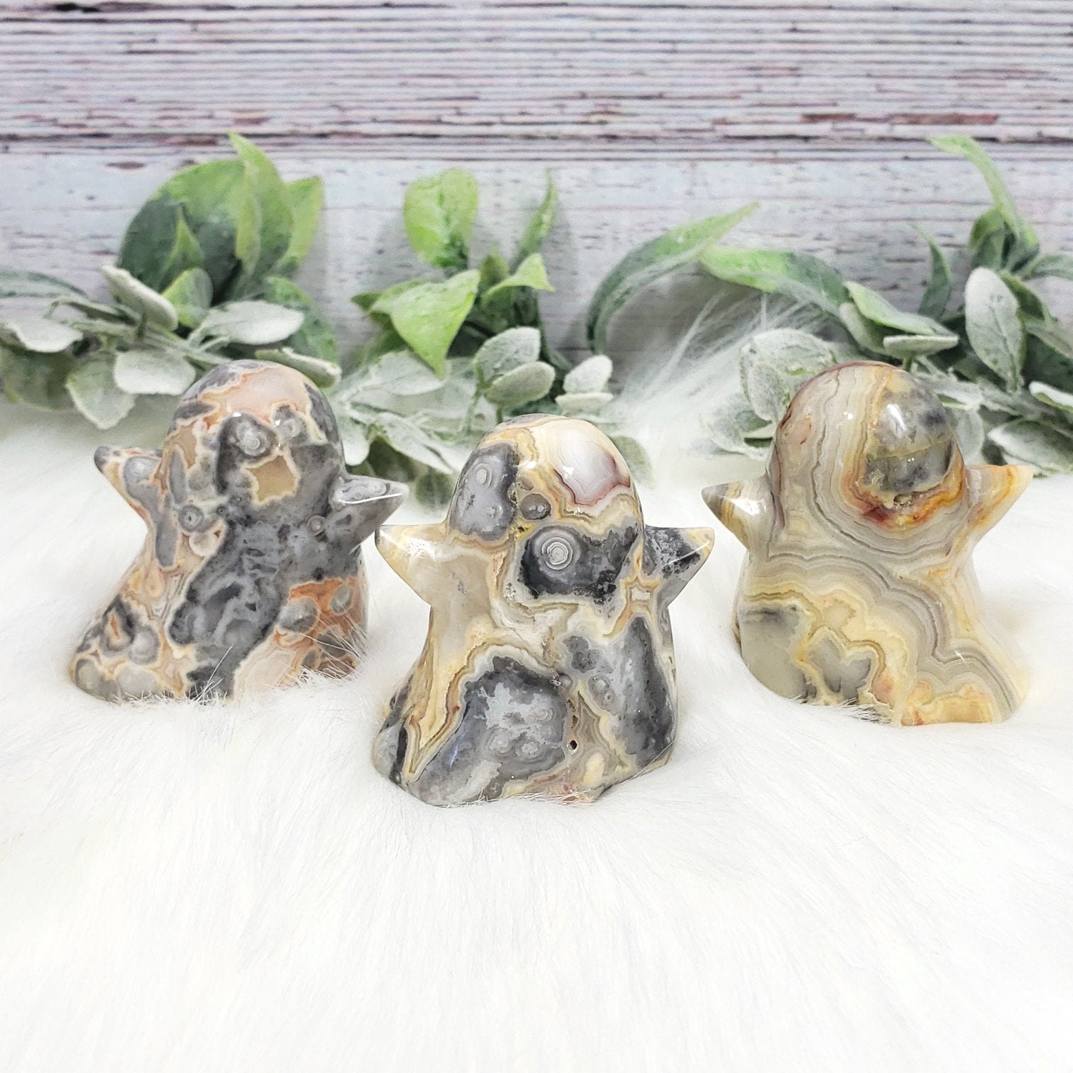 Crazy Lace Agate Ghost #4 - Crystal Happenings