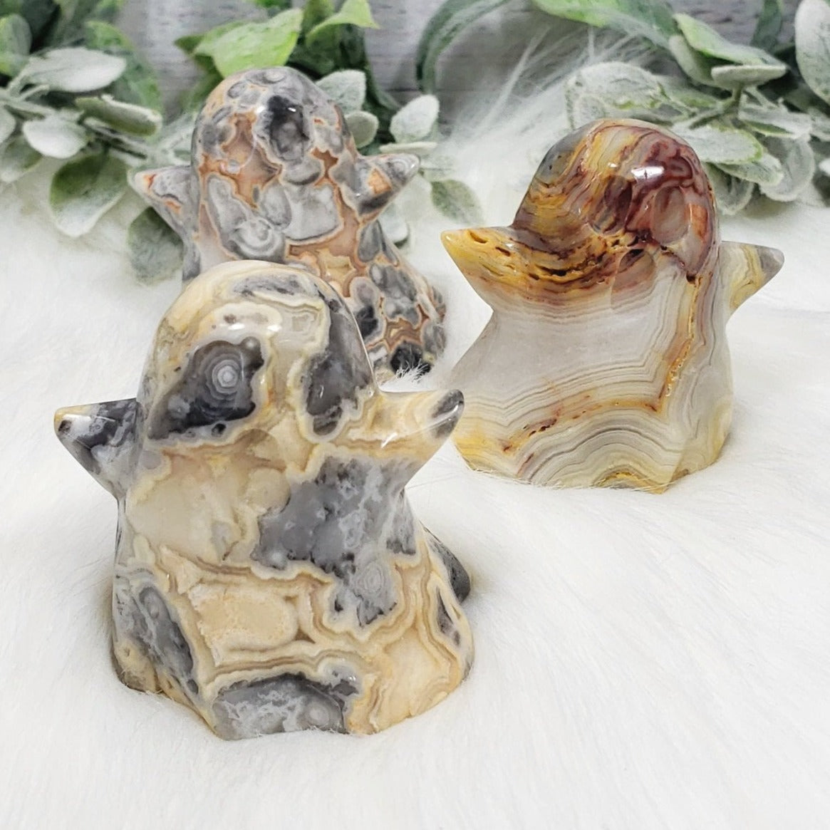 Crazy Lace Agate Ghost #4 - Crystal Happenings