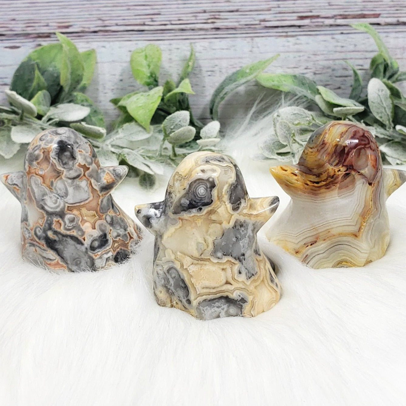 Crazy Lace Agate Ghost #4 - Crystal Happenings