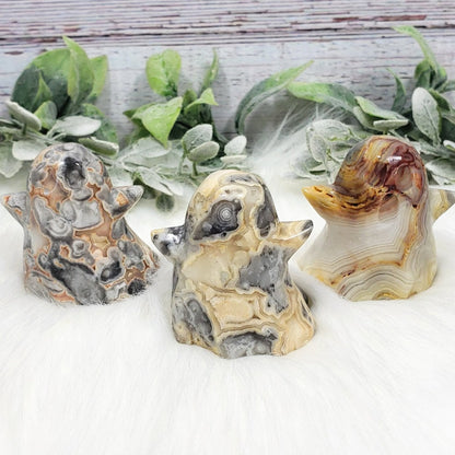 Crazy Lace Agate Ghost #4 - Crystal Happenings