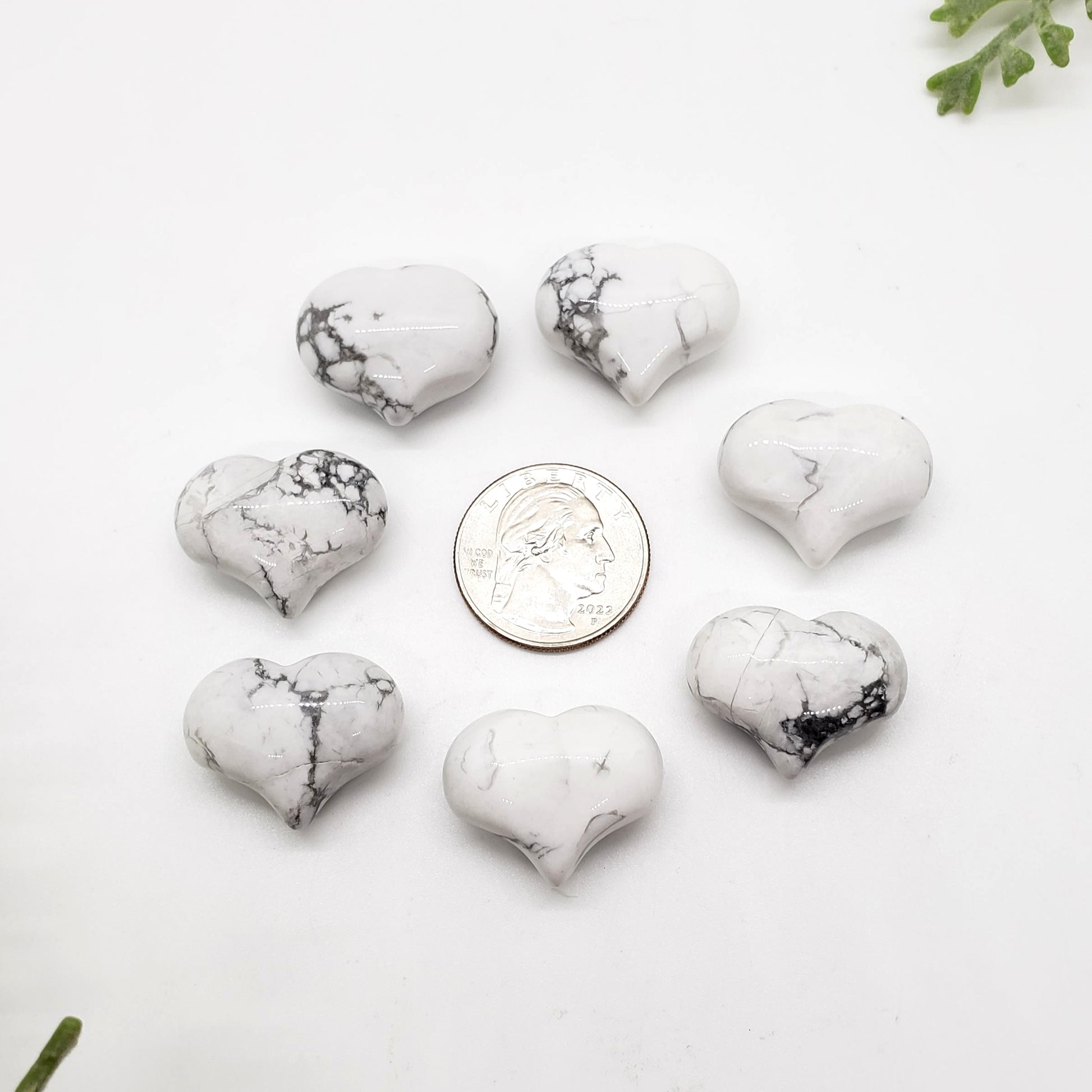 White Howlite- 1 inch Sweet Heart (25mm) - Crystal Happenings