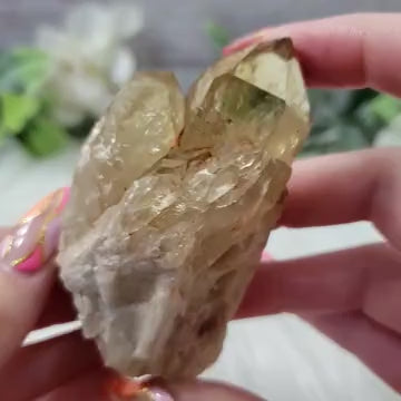 Congo Citrine Flower #12