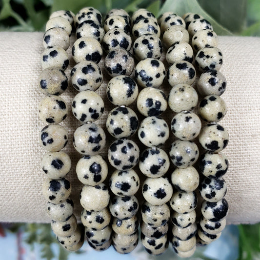Dalmation Jasper 6mm Bracelet - Crystal Happenings