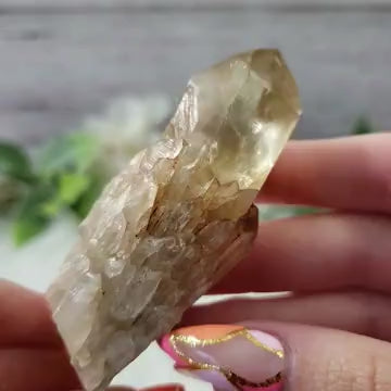 Congo Citrine Flower #08