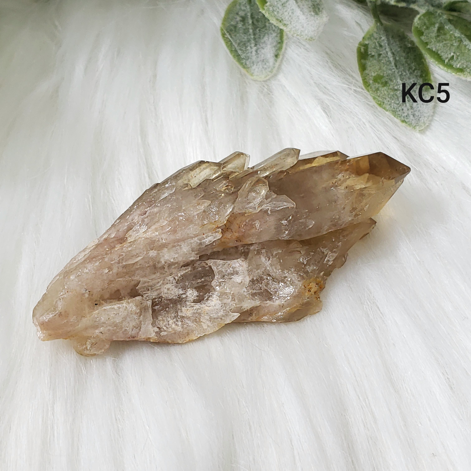 Congo Citrine Flower #05 - Crystal Happenings