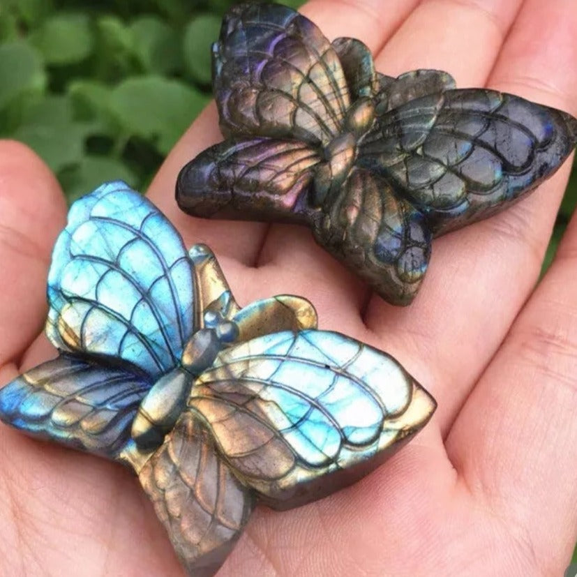 Labradorite Butterfly - Crystal Happenings