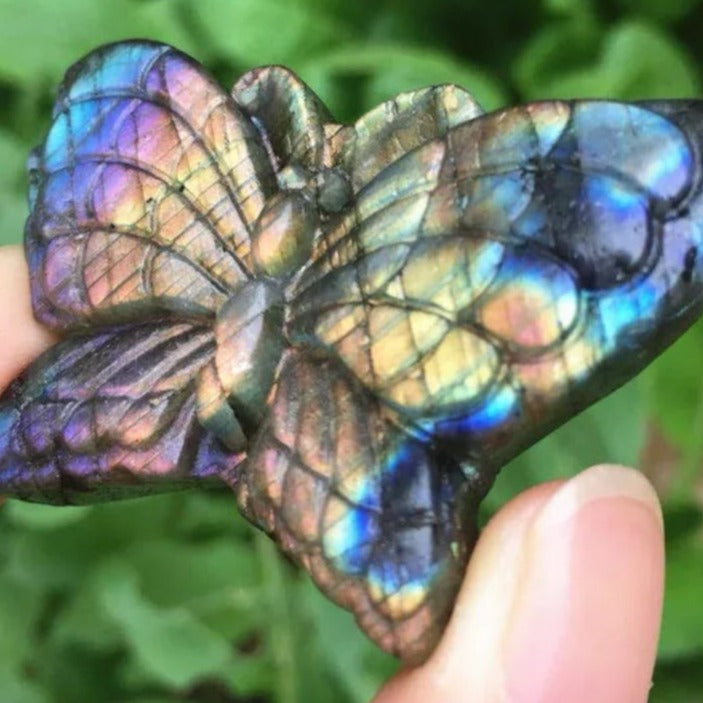 Labradorite Butterfly - Crystal Happenings