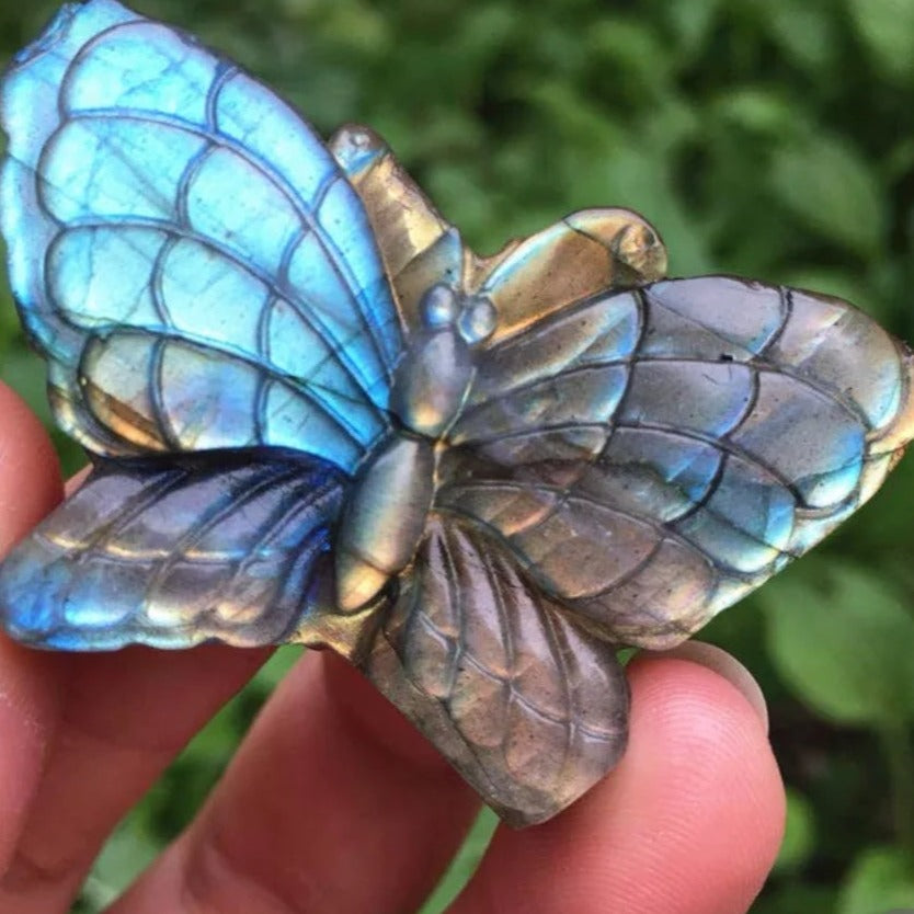 Labradorite Butterfly - Crystal Happenings