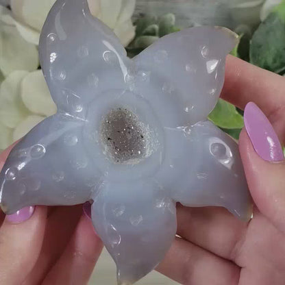 Druzy Agate Starfish 2