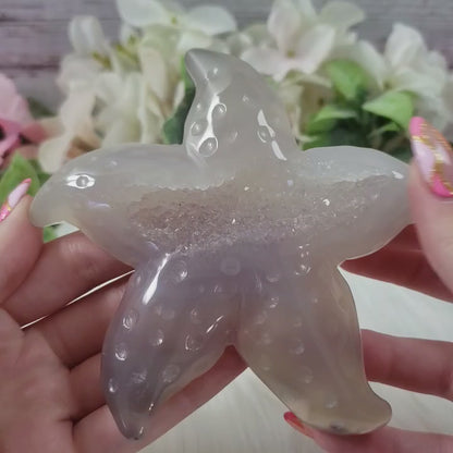 Druzy Agate Starfish 4