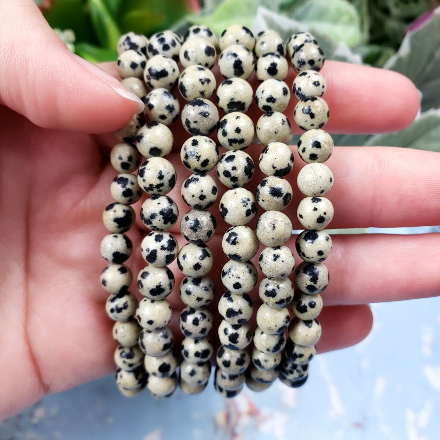 Dalmation Jasper 6mm Bracelet - Crystal Happenings