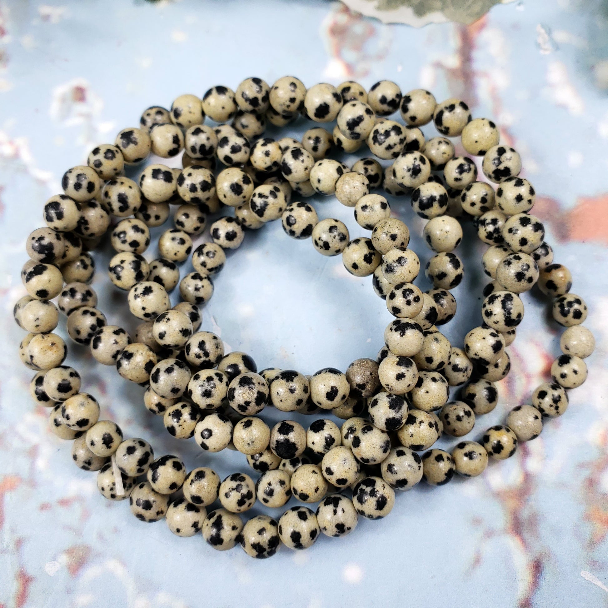 Dalmation Jasper 6mm Bracelet - Crystal Happenings