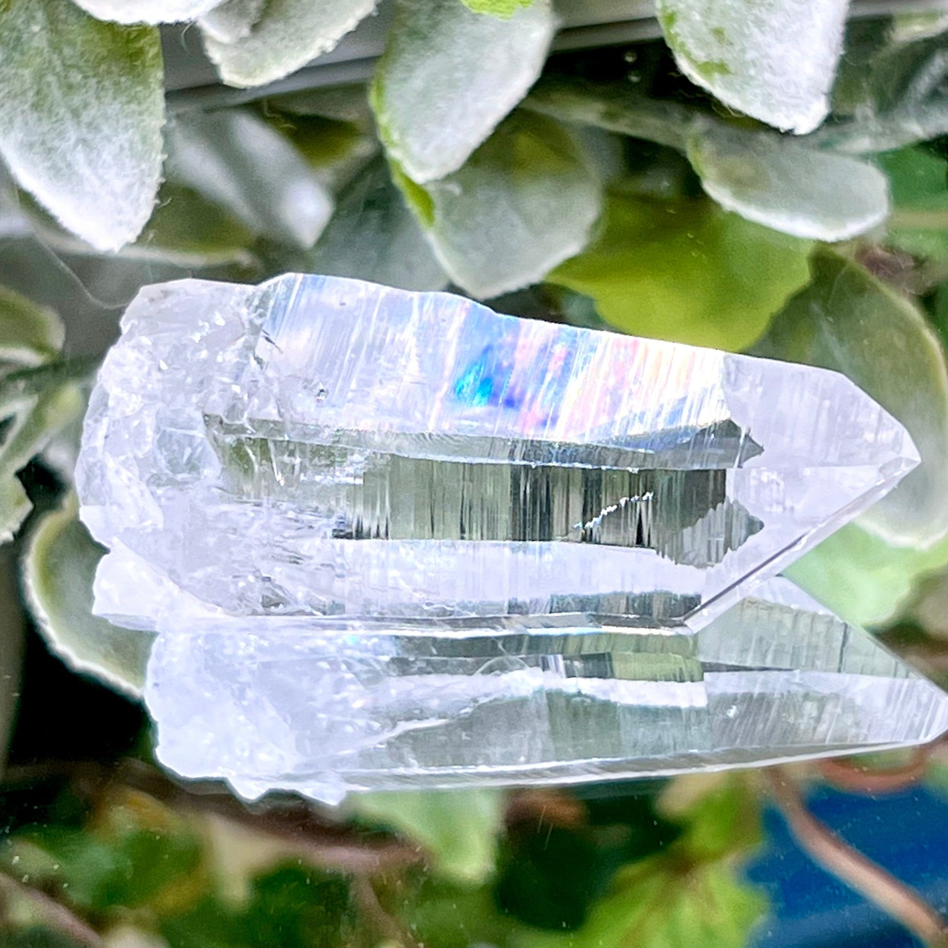 AA Spectacular Colombian Lemurian Quartz - Crystal Happenings
